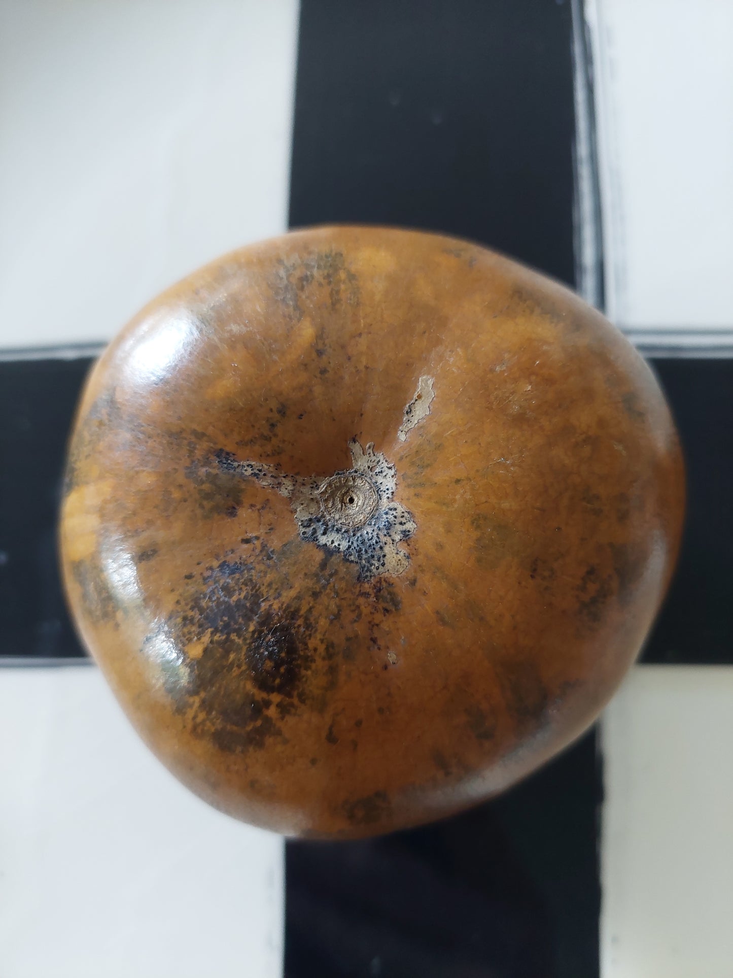 Préparation du maté : Calebasse