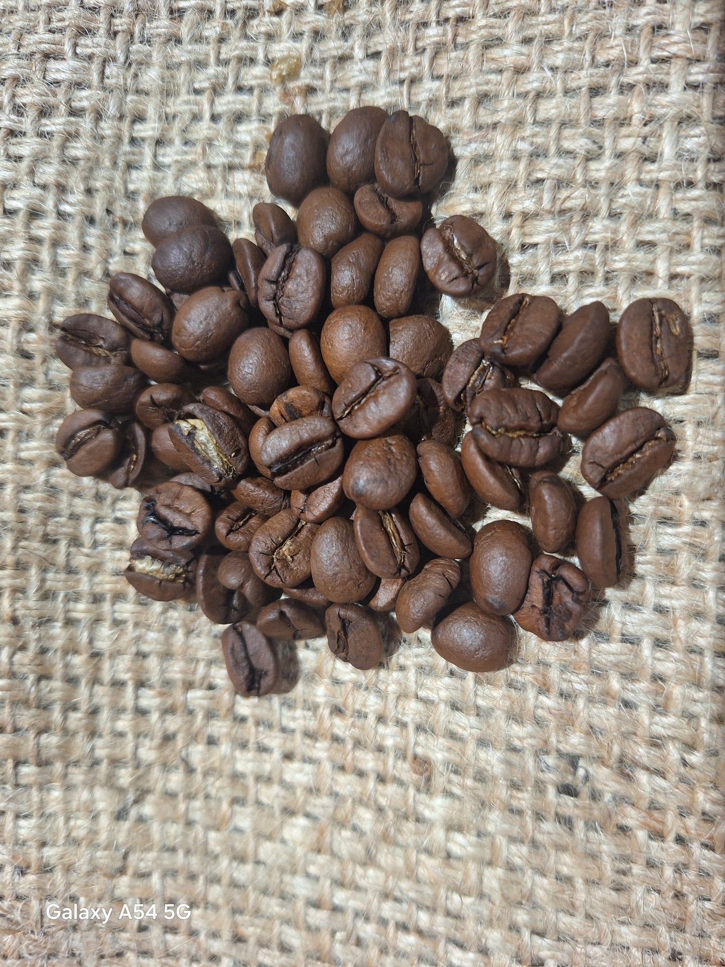 BRÉSIL GUARANI - (arabica)